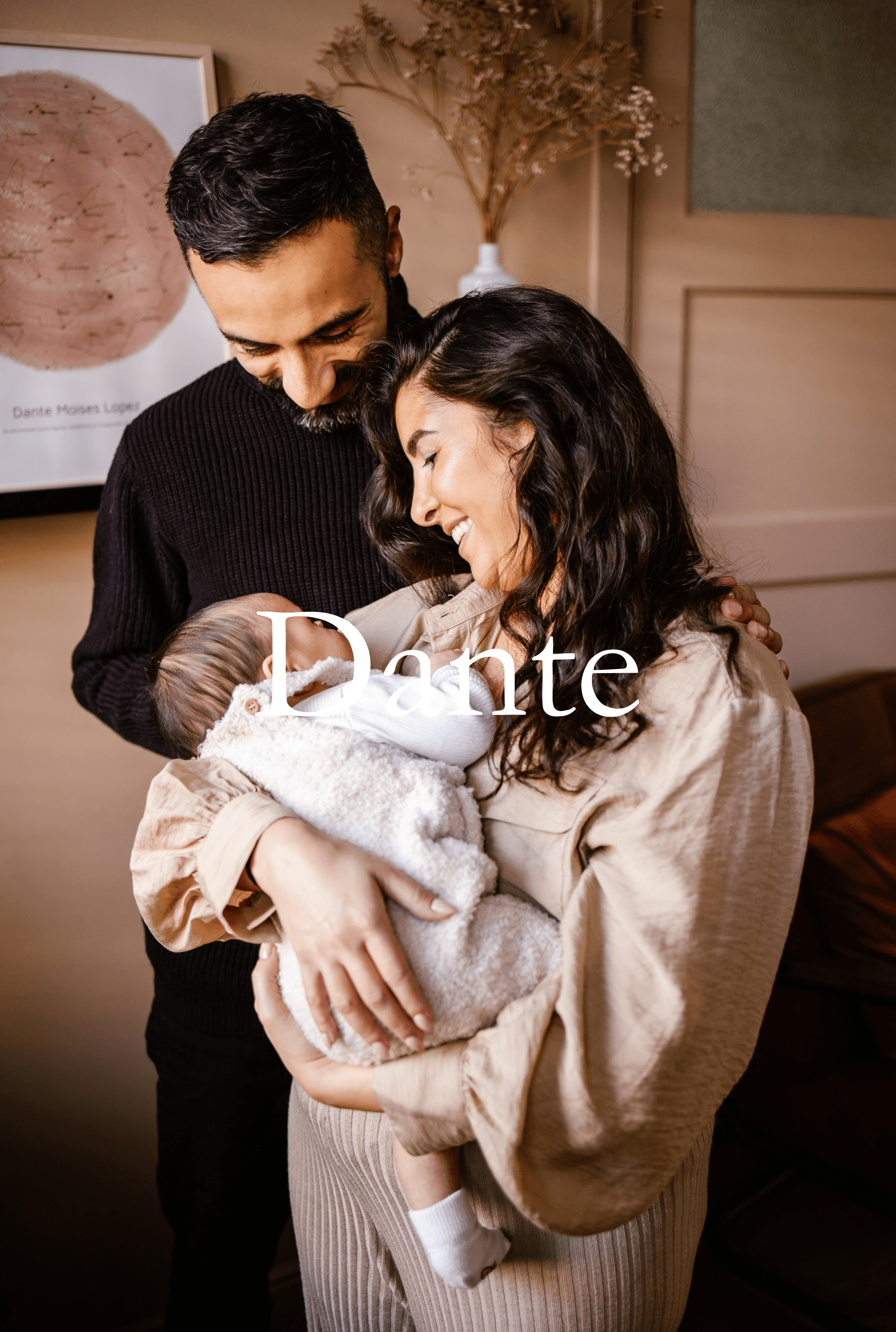 Portfolio Dante