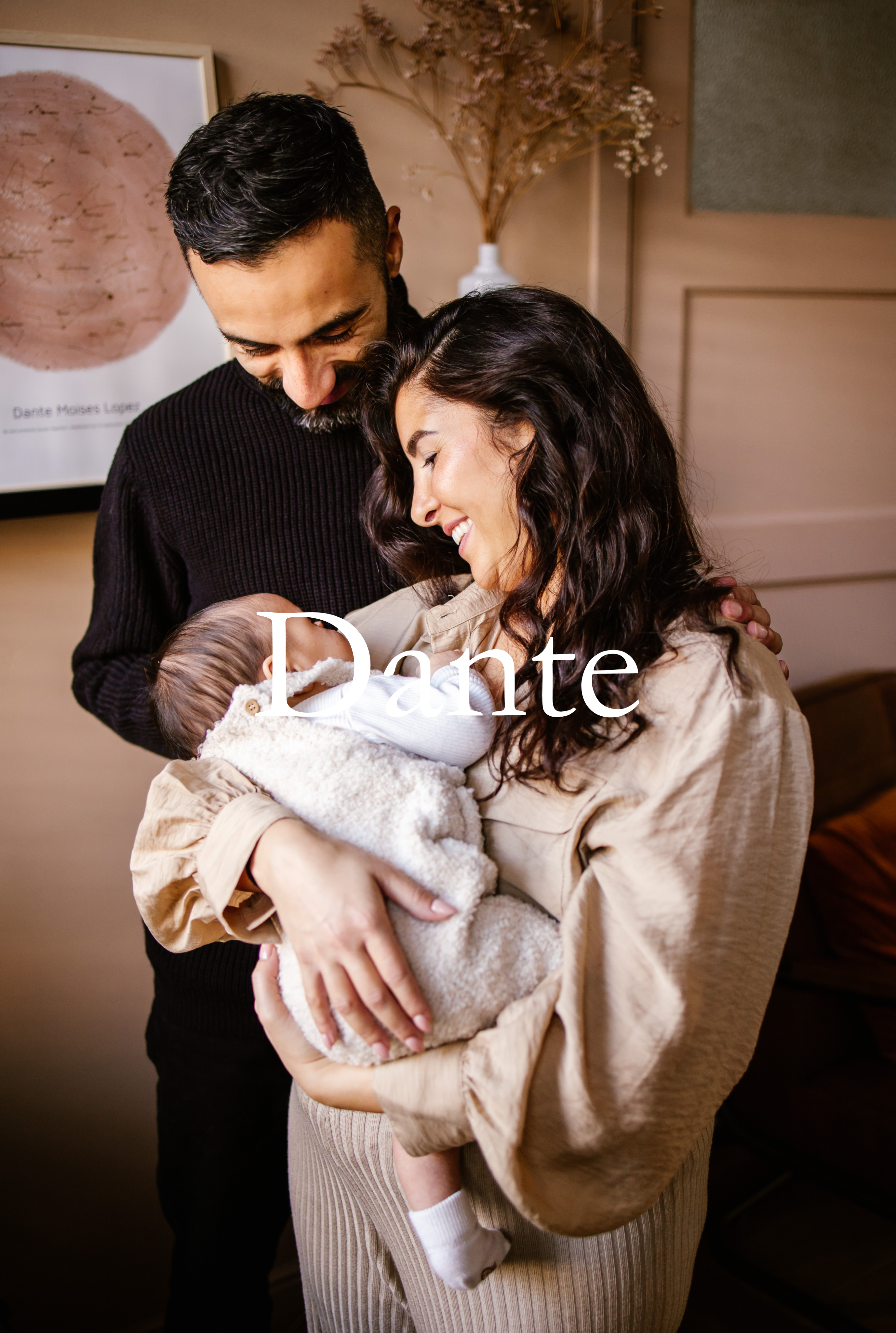 Portfolio Dante