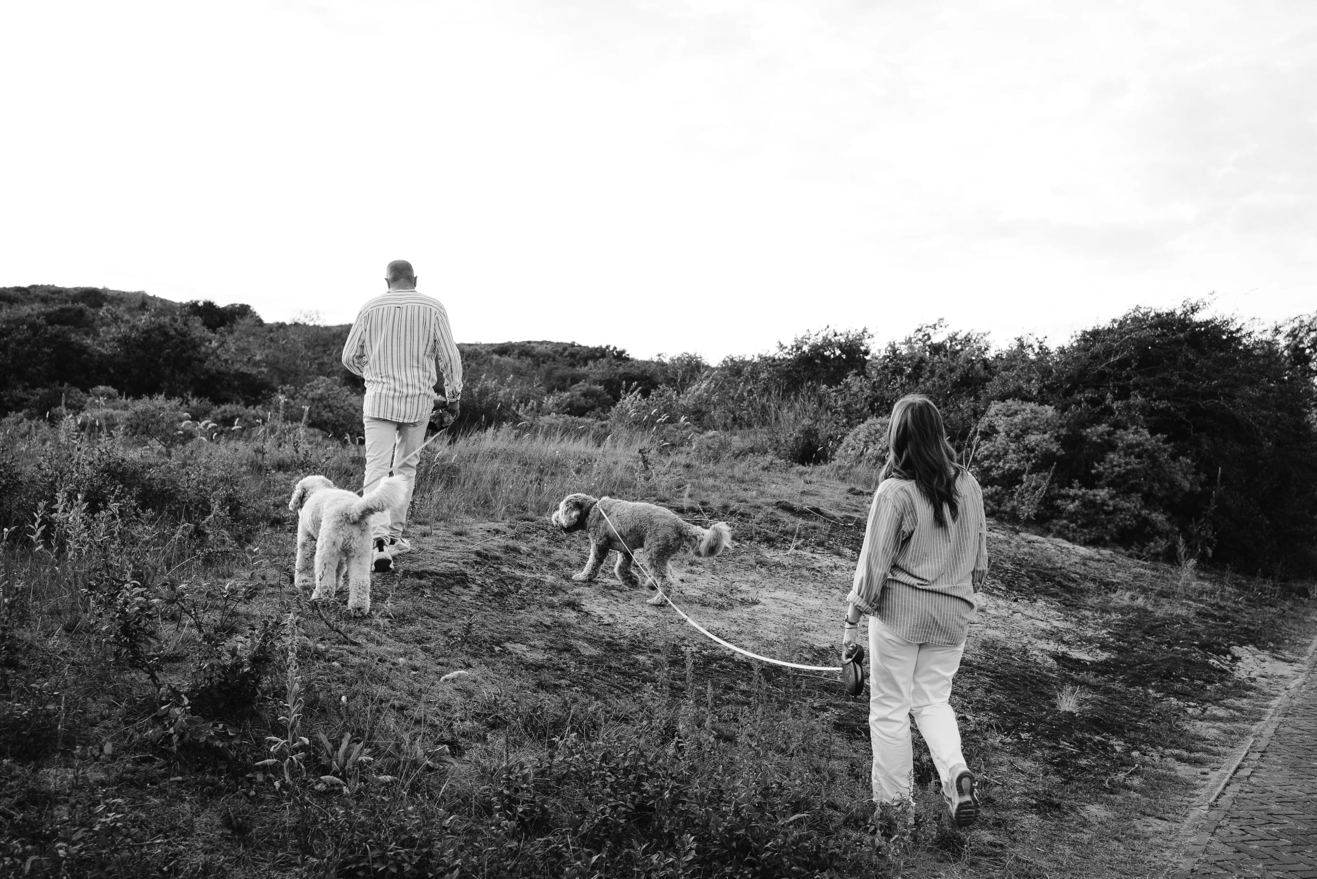 Een man en een vrouw wandelen met hun honden op een uitgestrekt, groen landschap, omringd door struiken en een bewolkte lucht, in een rustgevende en natuurlijke omgeving.