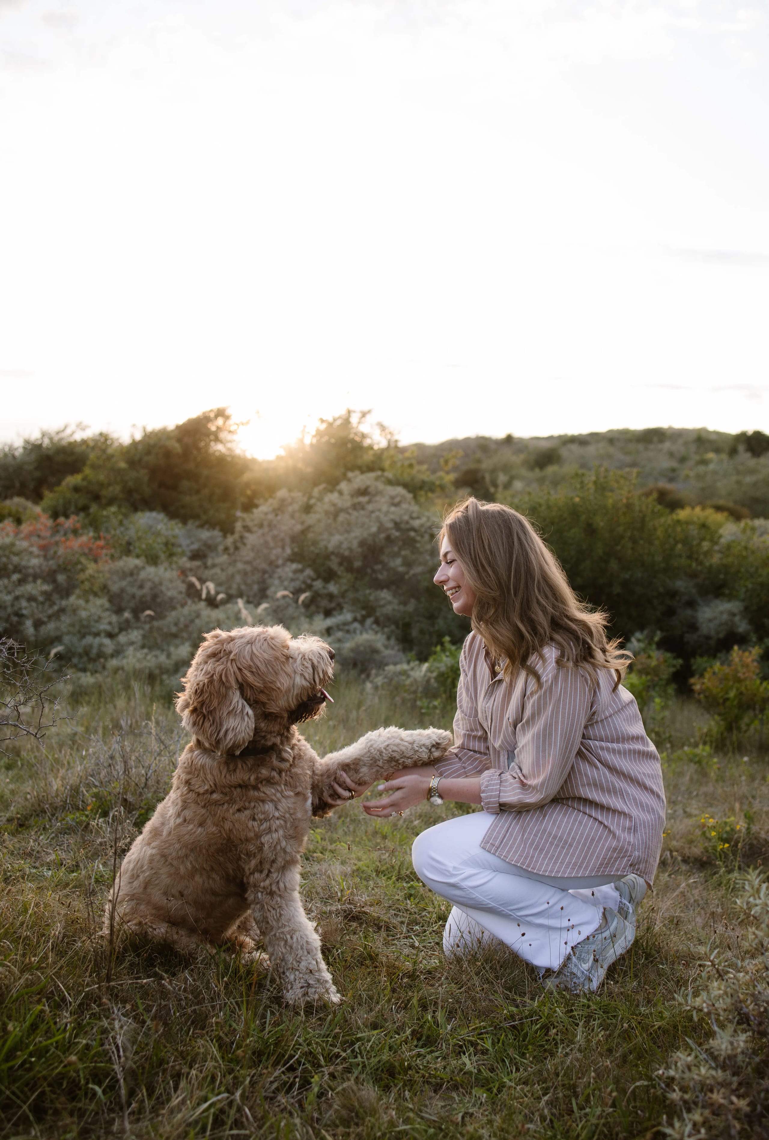 Een vrouw knielt in een groene weide en herkent liefdevol haar hond, die zijn paw aanraakt. De zonsondergang op de achtergrond geeft een warme gloed aan de omgeving, waardoor het een tranquil en vrolijke sfeer creëert.