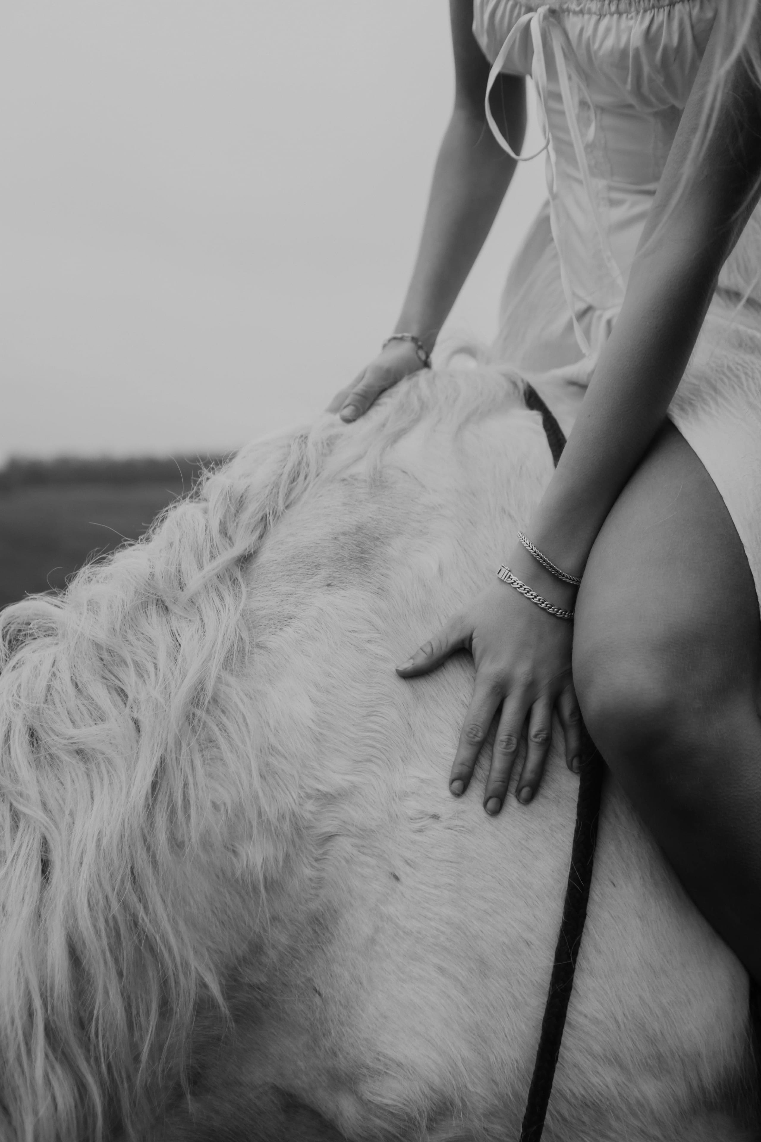 Detailopname van de hand van Lies Zhara op de manen van een paard