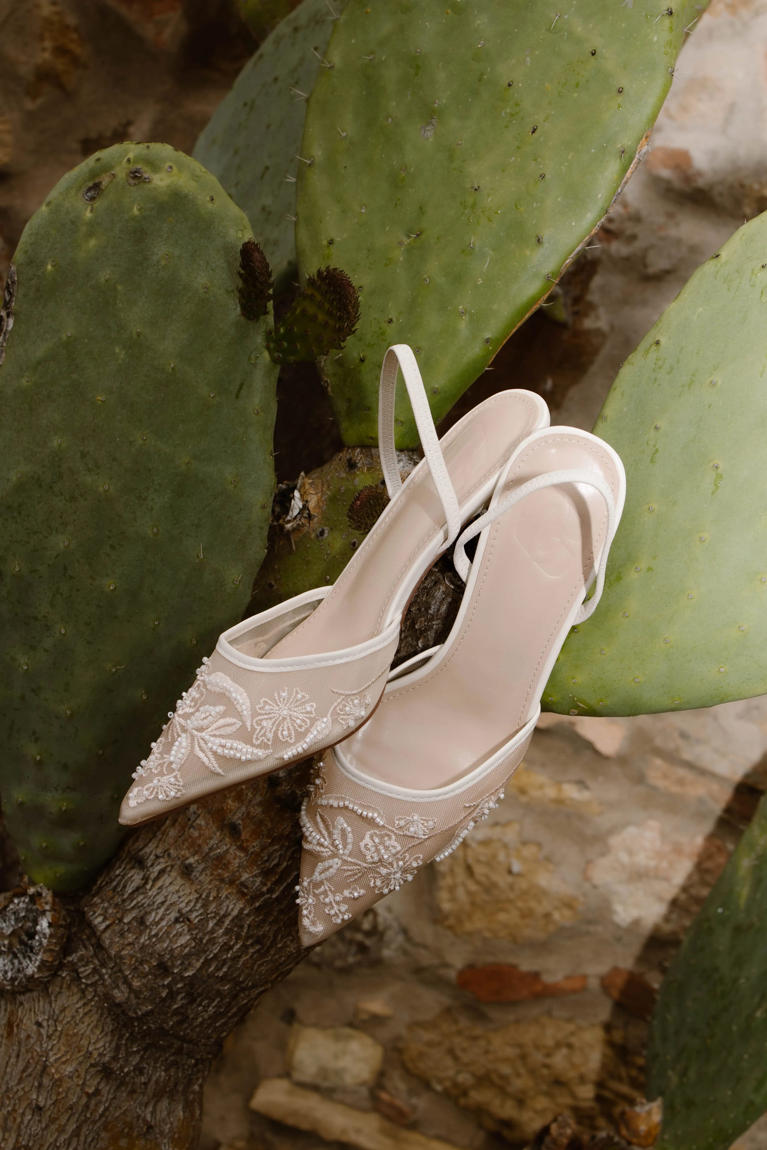 Elegante, handgeborduurde pumps met hoge hakken, rustend op een cactus, waardoor een unieke combinatie van mode en natuur ontstaat.